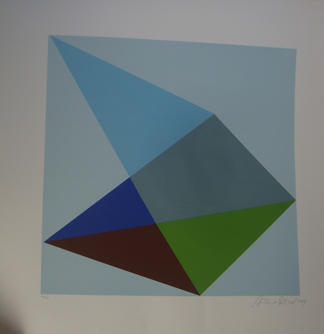 Antonio Peticov - Geométrico