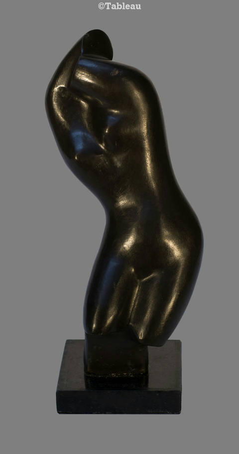 Torso