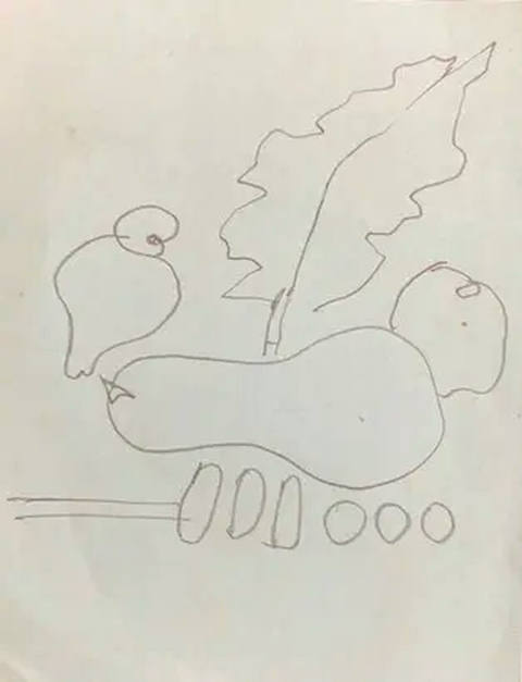 Estudos