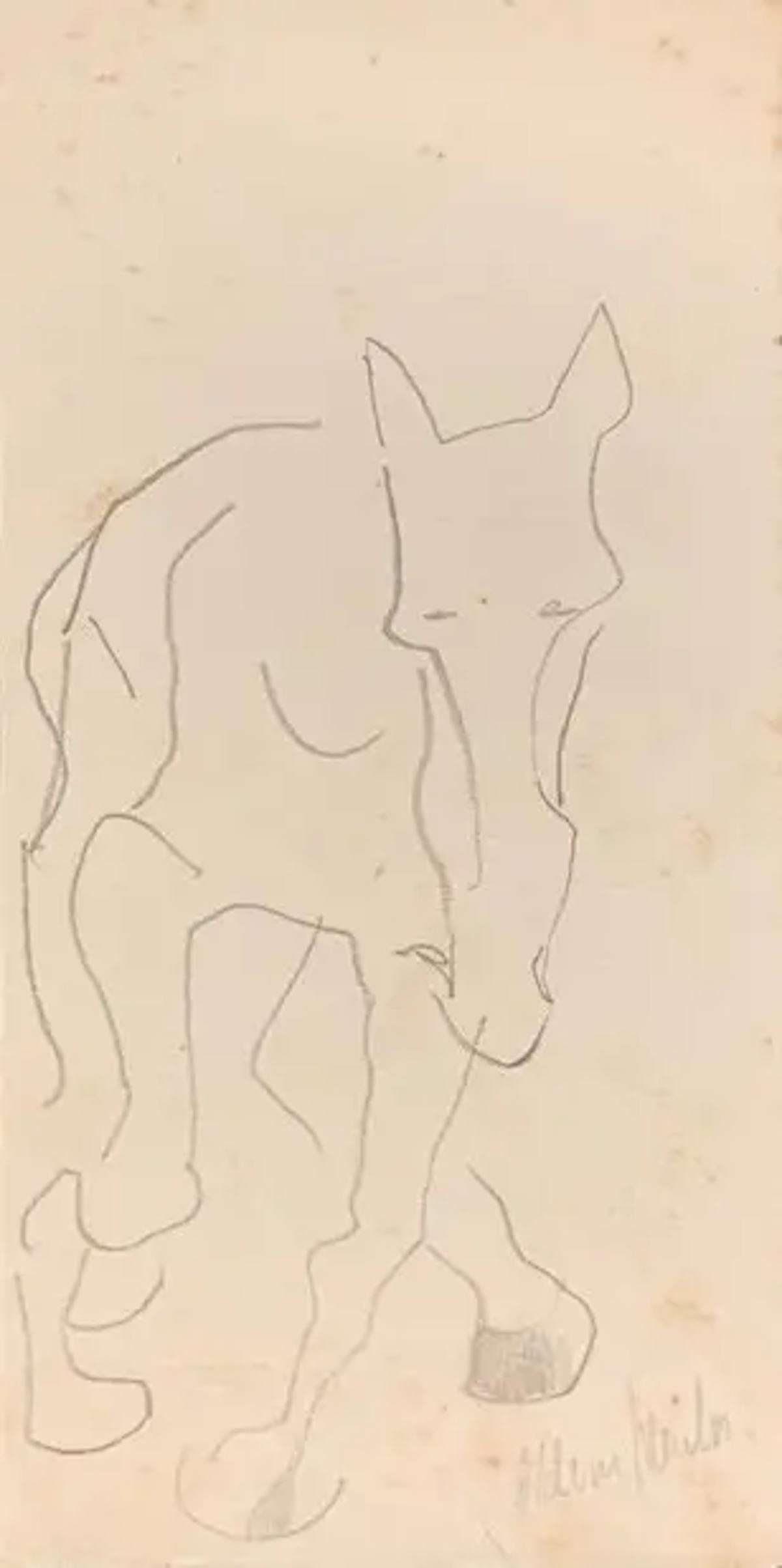 Cavalo Estudo
