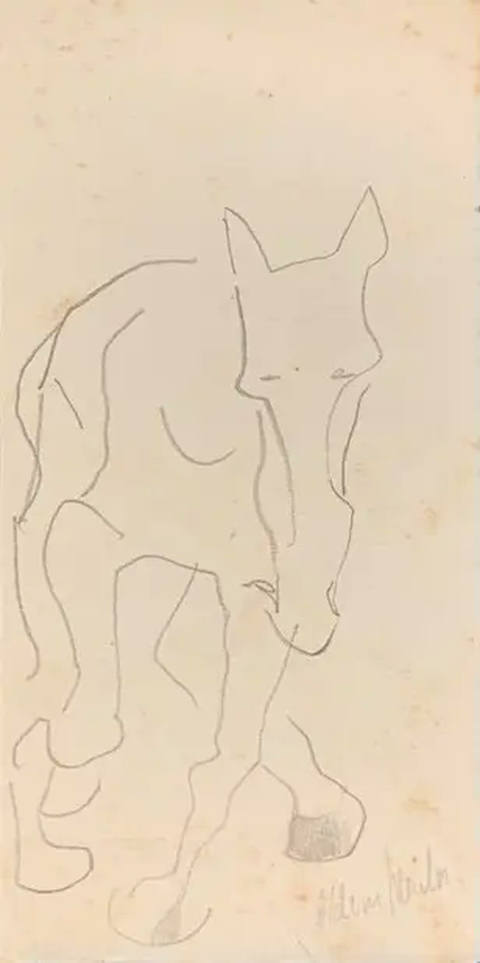 Cavalo Estudo