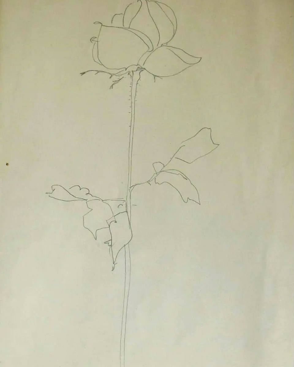 Aldemir Martins - Flor - Dec 60