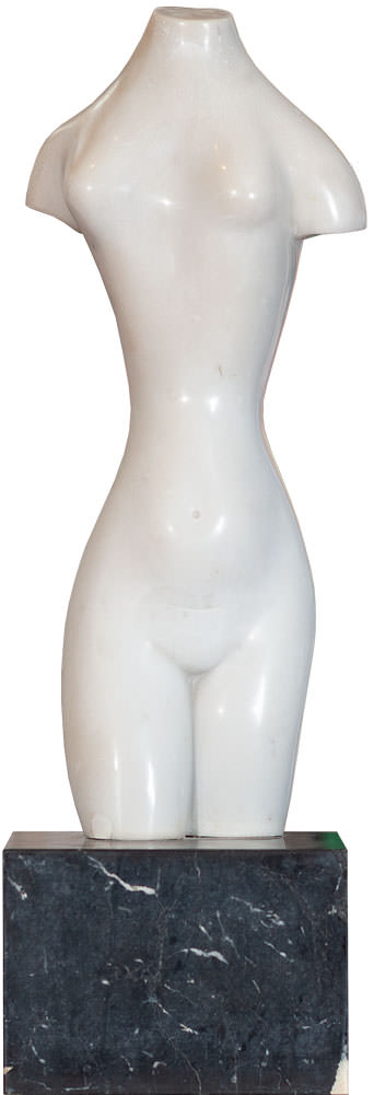 Torso