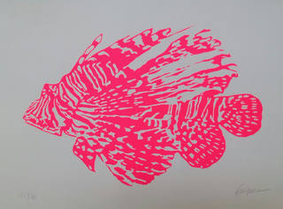 Kleber Ventura - Peixe Rosa