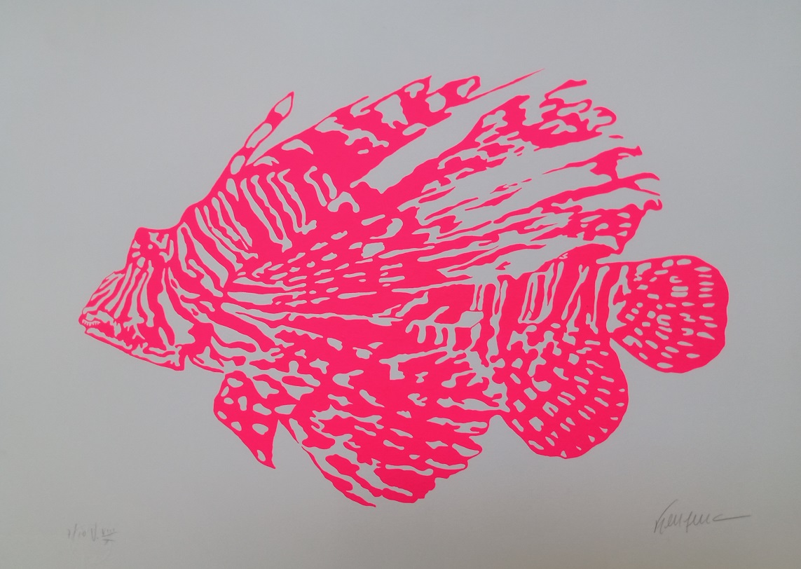 Peixe Rosa