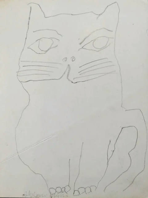 Gato