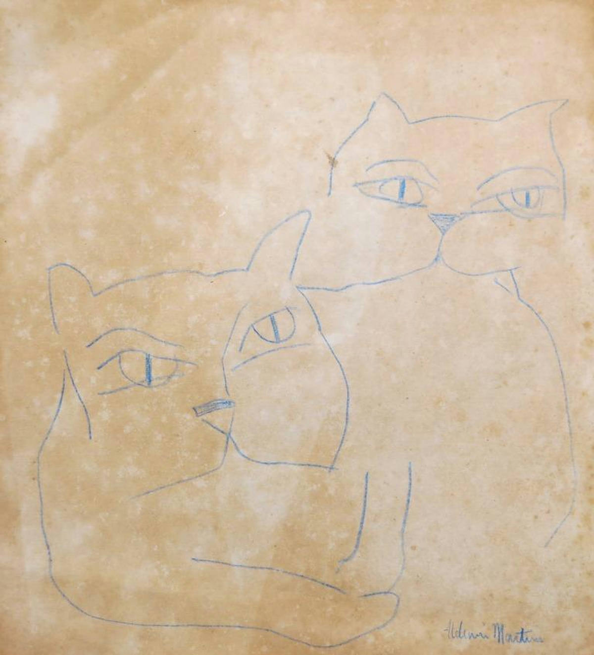 Gato 19 x 18 Lápis azul s/ papel