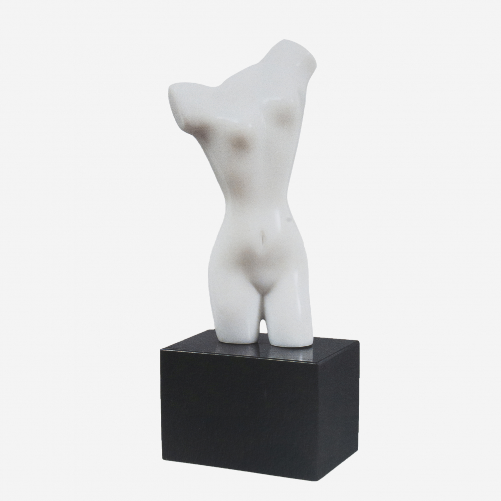 Torso