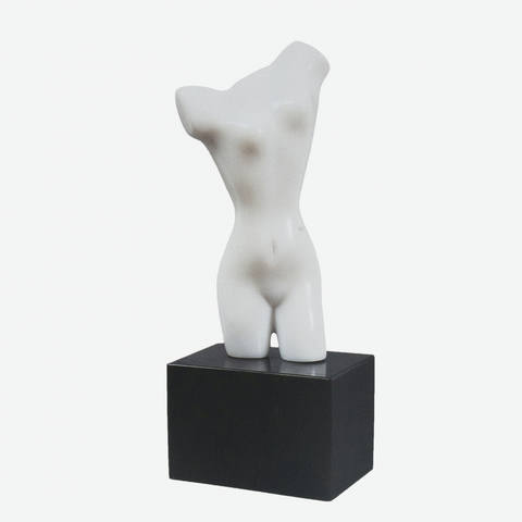 Torso