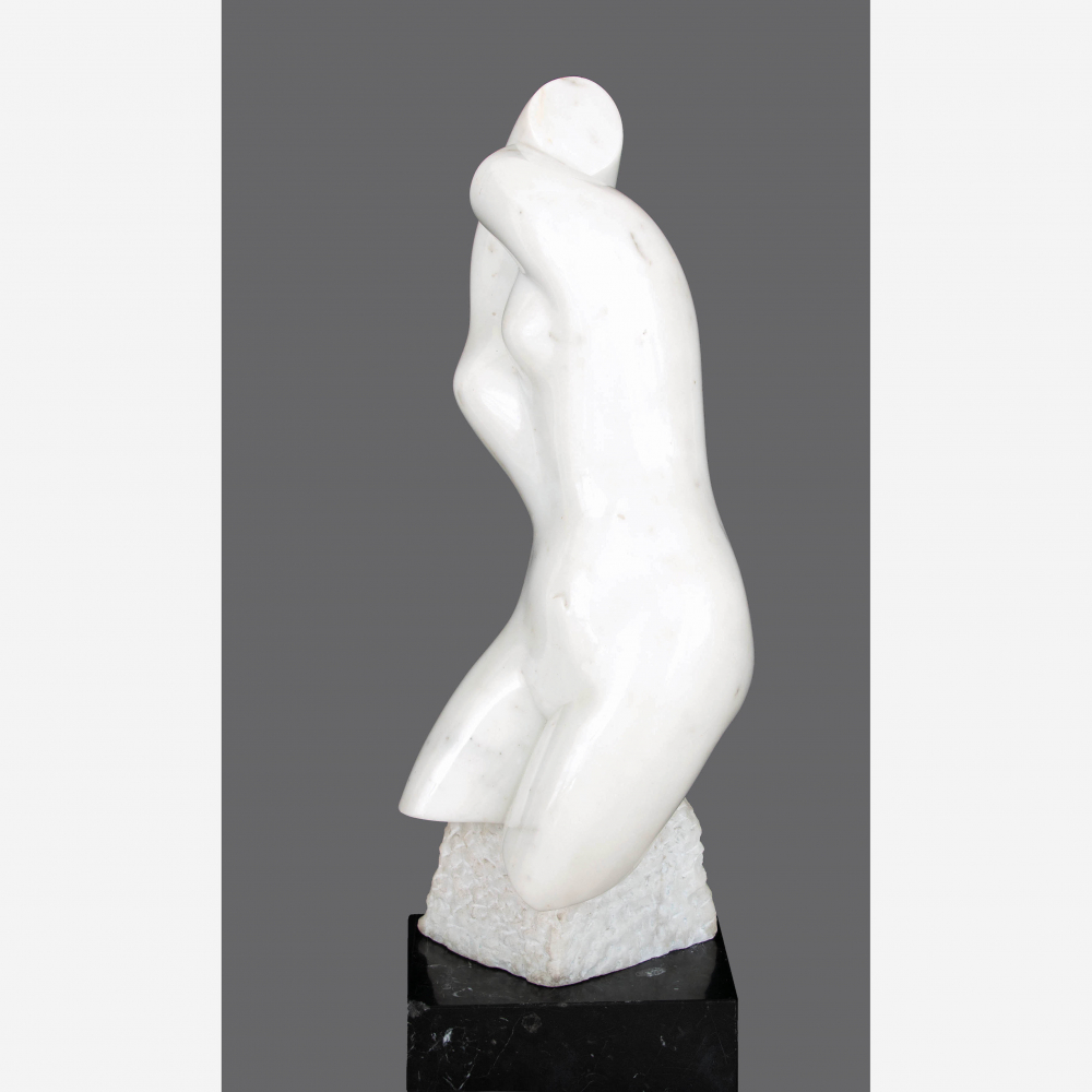 Torso
