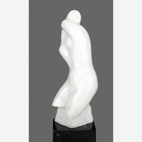 Torso