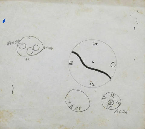 Estudos