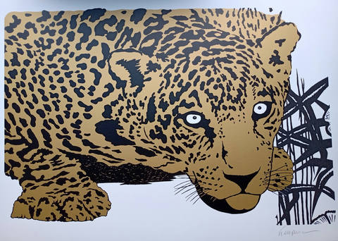 Onça Dourada