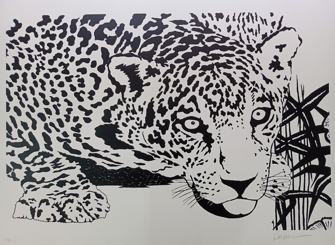 Kleber Ventura - Onça branca pintada