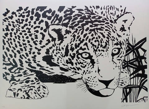 Onça branca pintada