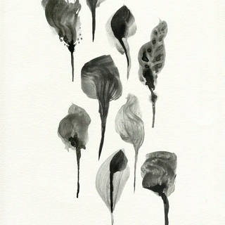 Nato Gomes - Herbarium II