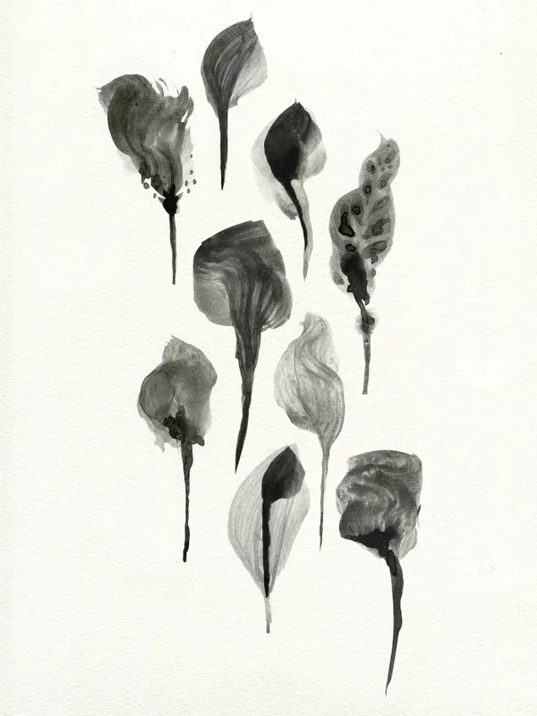 Nato Gomes - Herbarium II
