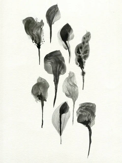 Herbarium II