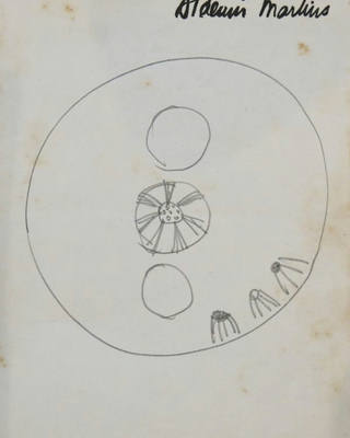 Aldemir Martins - Desenho