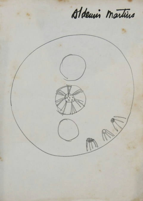 Desenho