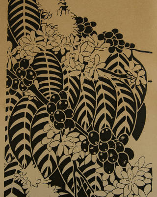 J. Carlos - Flores e frutas