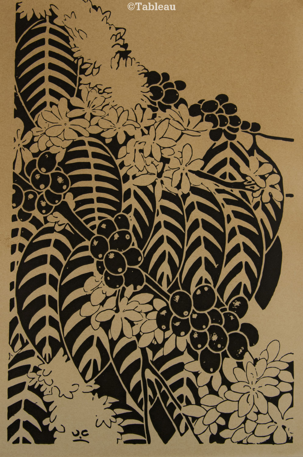 Flores e frutas