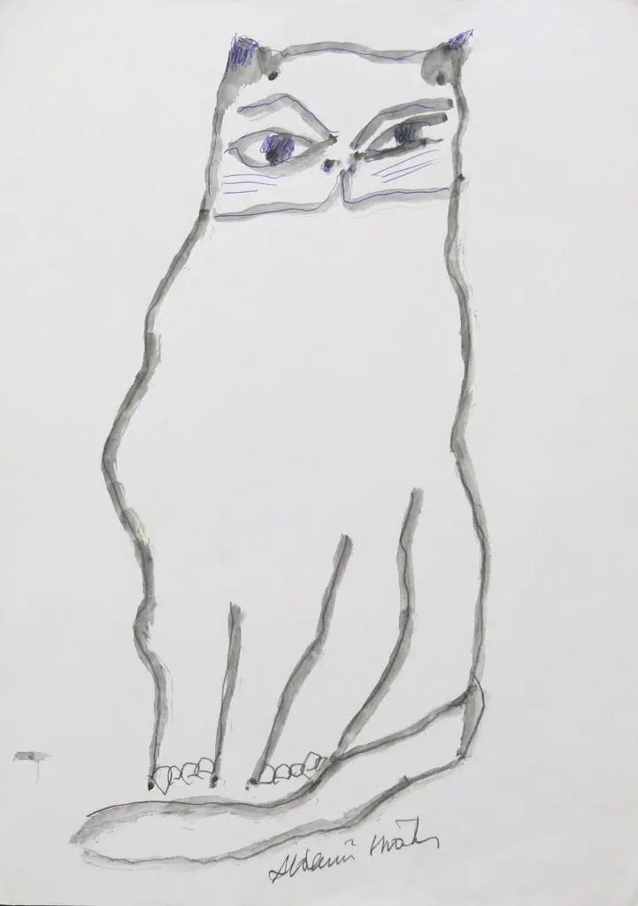 Gato
