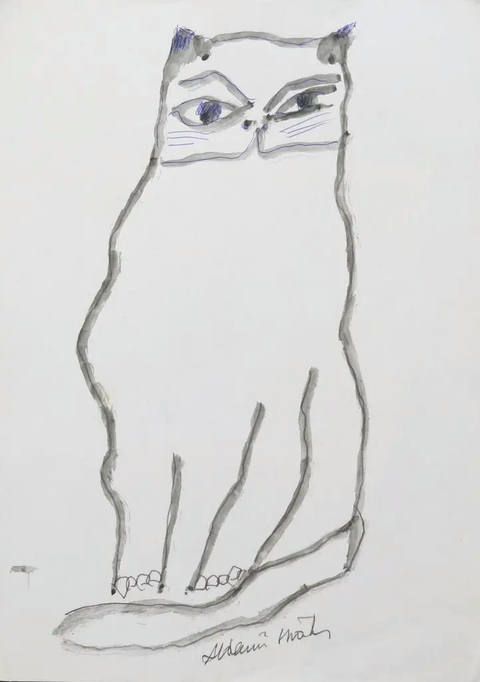 Gato