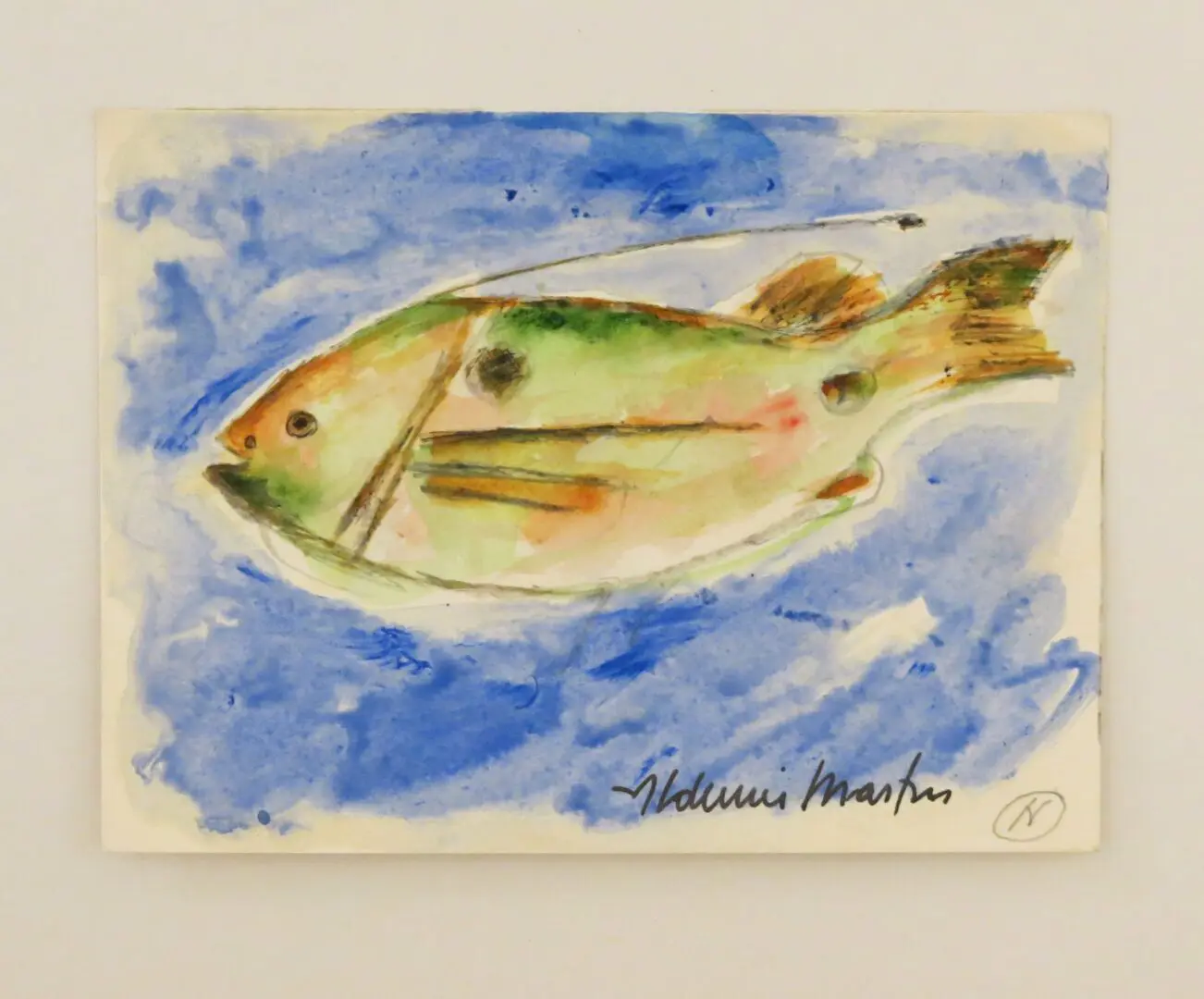 Peixe Data
