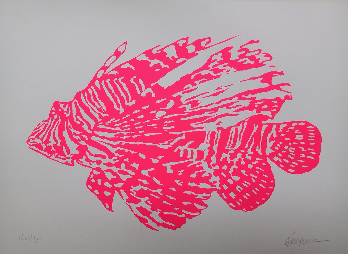 Peixe Rosa