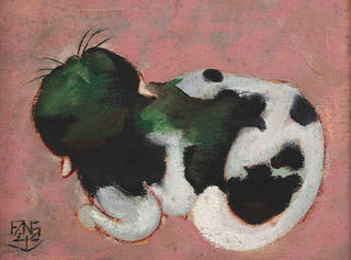 Kong Fang Chen - Gato