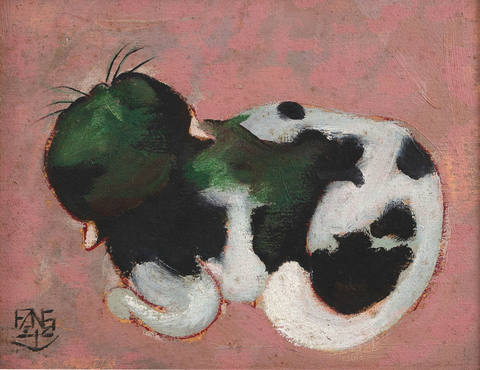 Gato