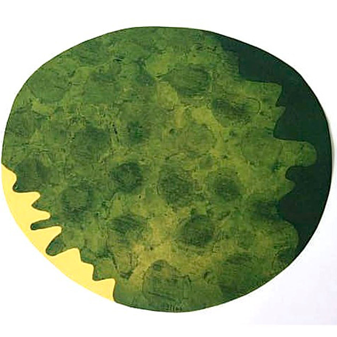Tomie Ohtake - Recorte da forma #03