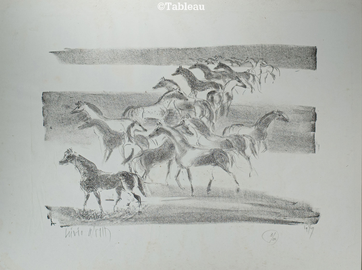 Cavalos