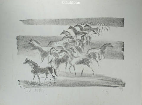 Cavalos