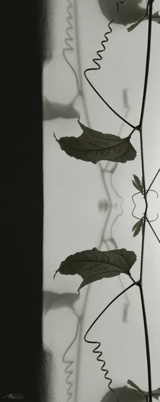 Diálogo com as Sombras V