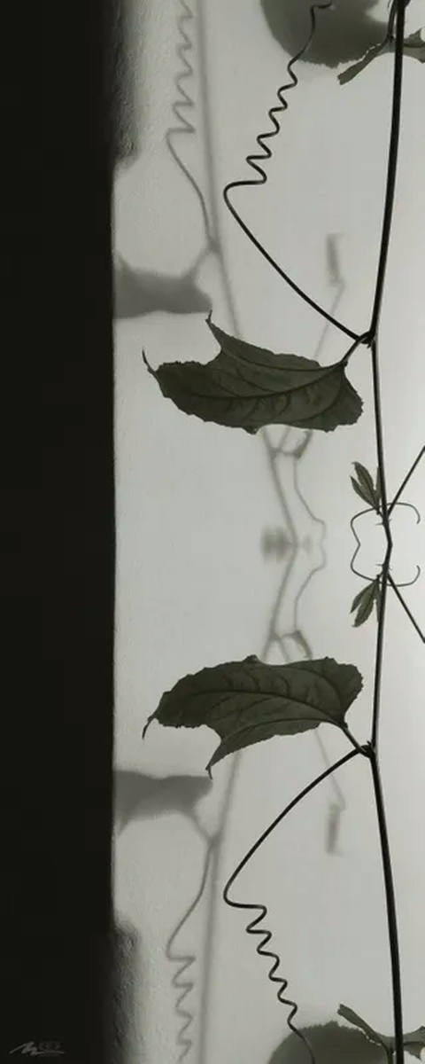 Diálogo com as Sombras V