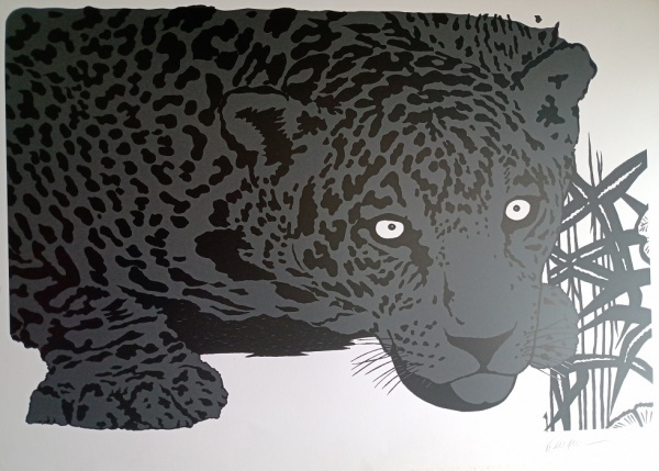 Kleber Ventura - Onça pintada cinza