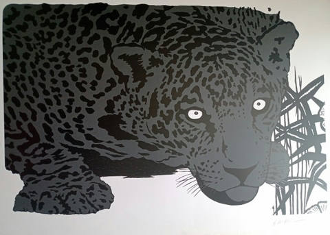 Onça pintada cinza