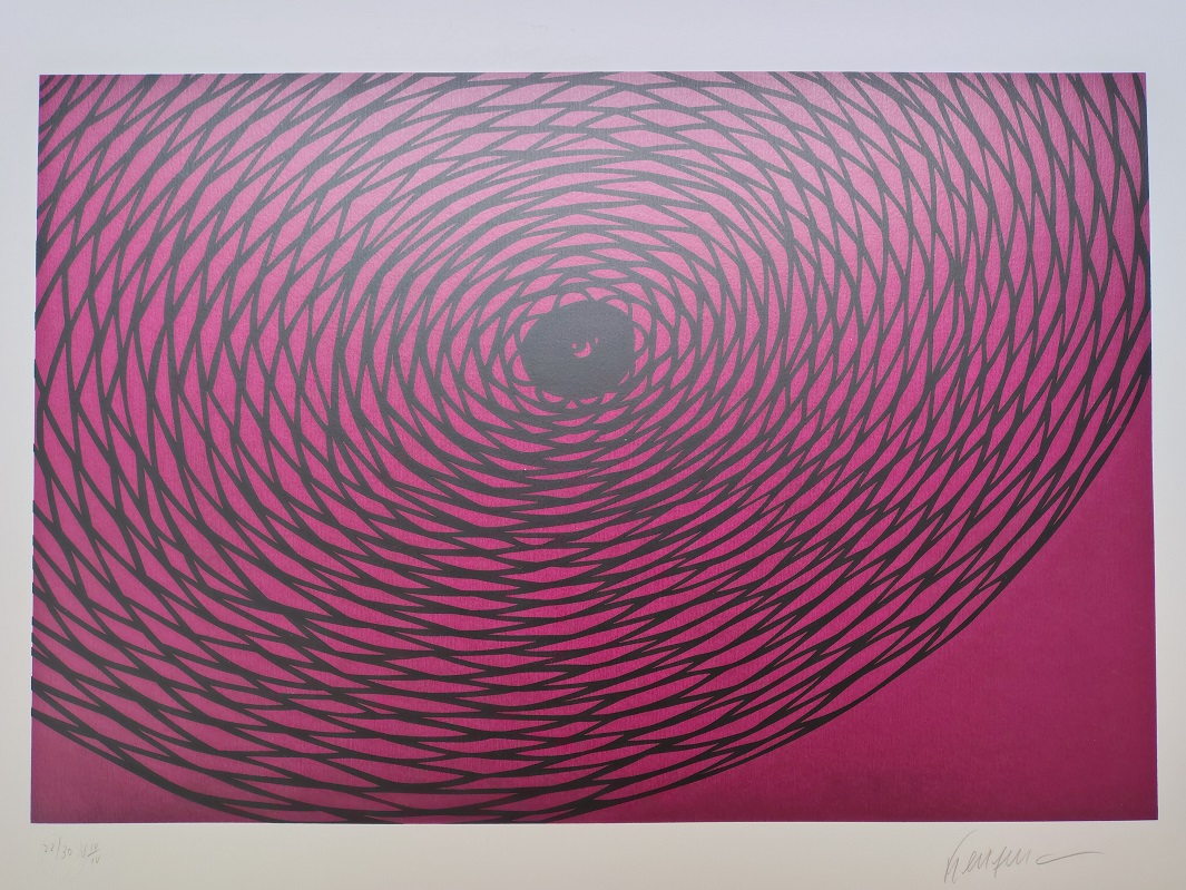 Kleber Ventura - Teia Pink
