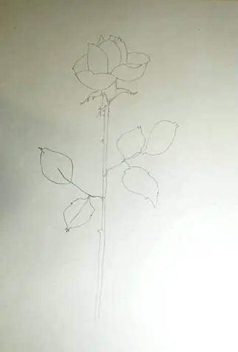 Flor - Dec. 60