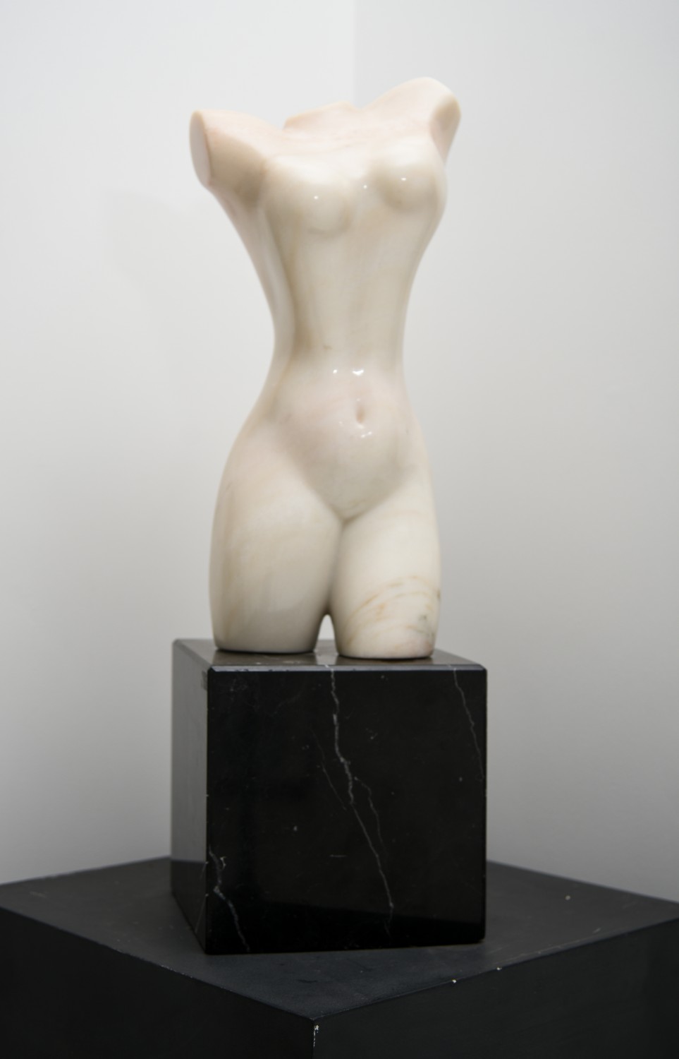 Torso