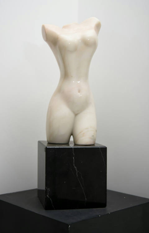 Torso