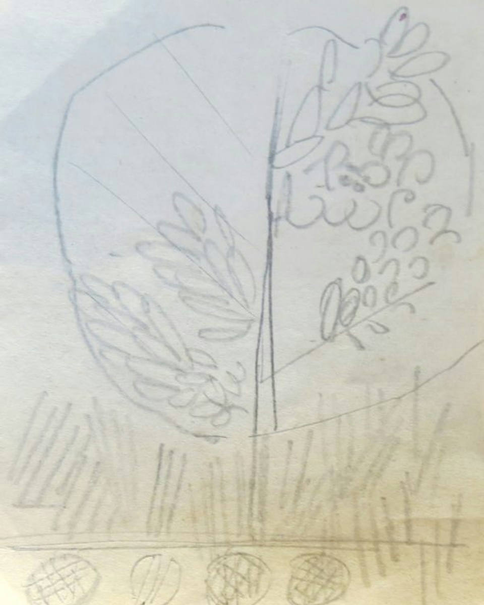 Aldemir Martins - Estudo de flores (s/ data)