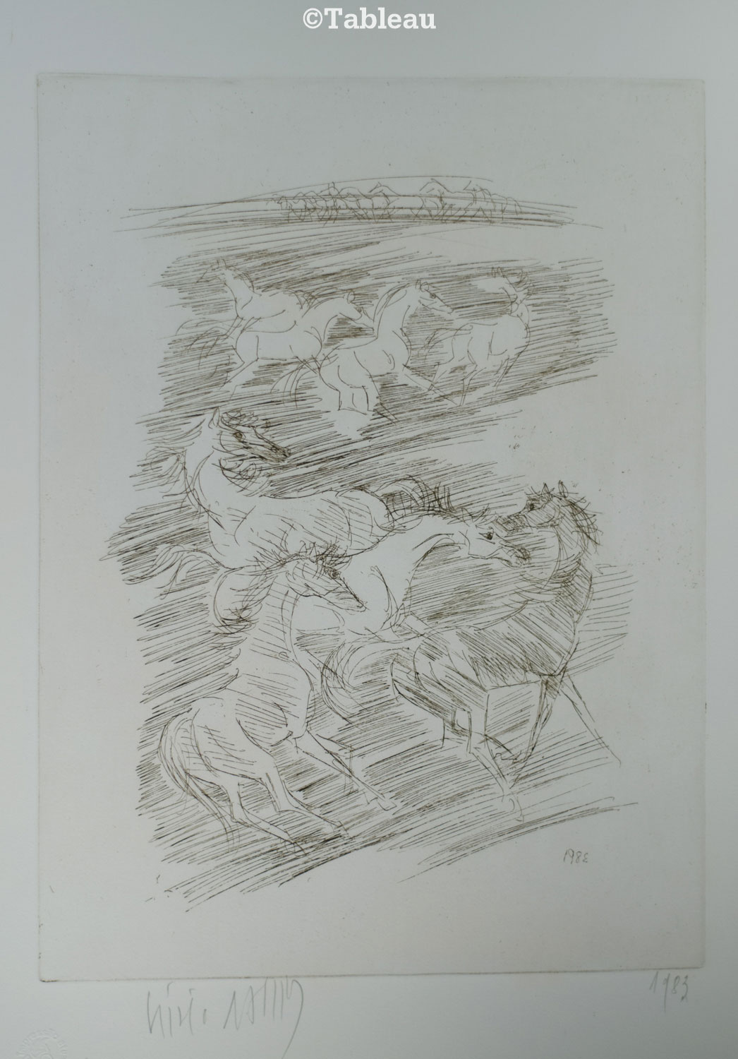 Cavalos