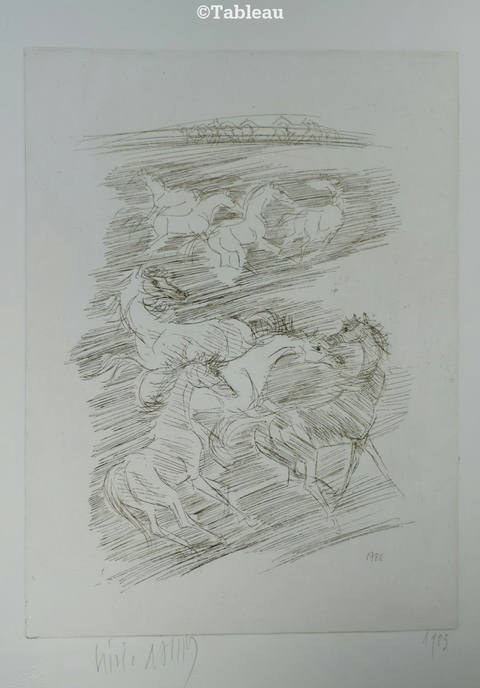 Cavalos
