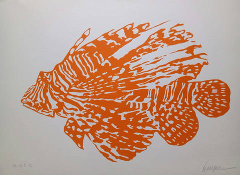 Peixe Laranja