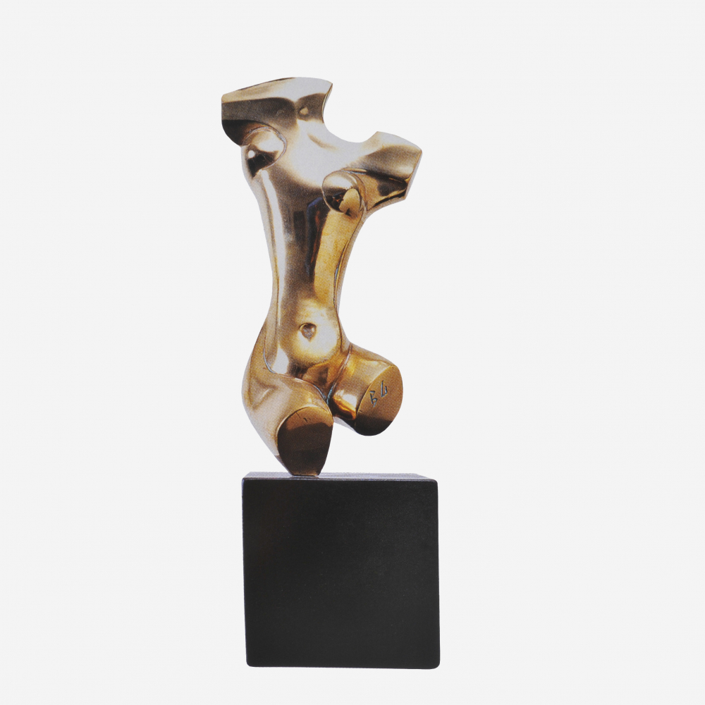 Torso