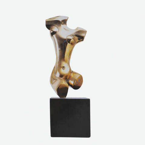 Torso